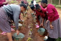 kiine-girls-environmental-club-led-by-the-deputy-mrs-naomi-chania